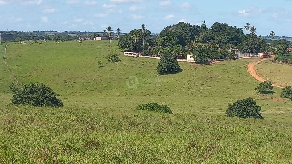 Chácara Centro, Itabaianinha - SE